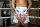 Anime Athletics MMA Handschuhe - Schwarz/Weiß, GATORINGU
