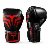Boxhandschuhe, schwarz/rot, Premium Leder,...