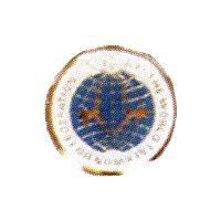 W.T.F. Anstecker