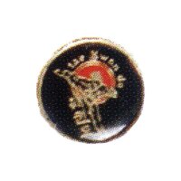 TAEKWONDO Anstecker