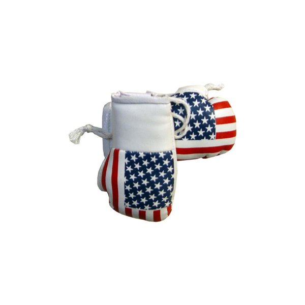 Mini Boxhandschuhe, weiß, USA Flagge