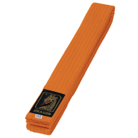 Budo Gürtel, orange